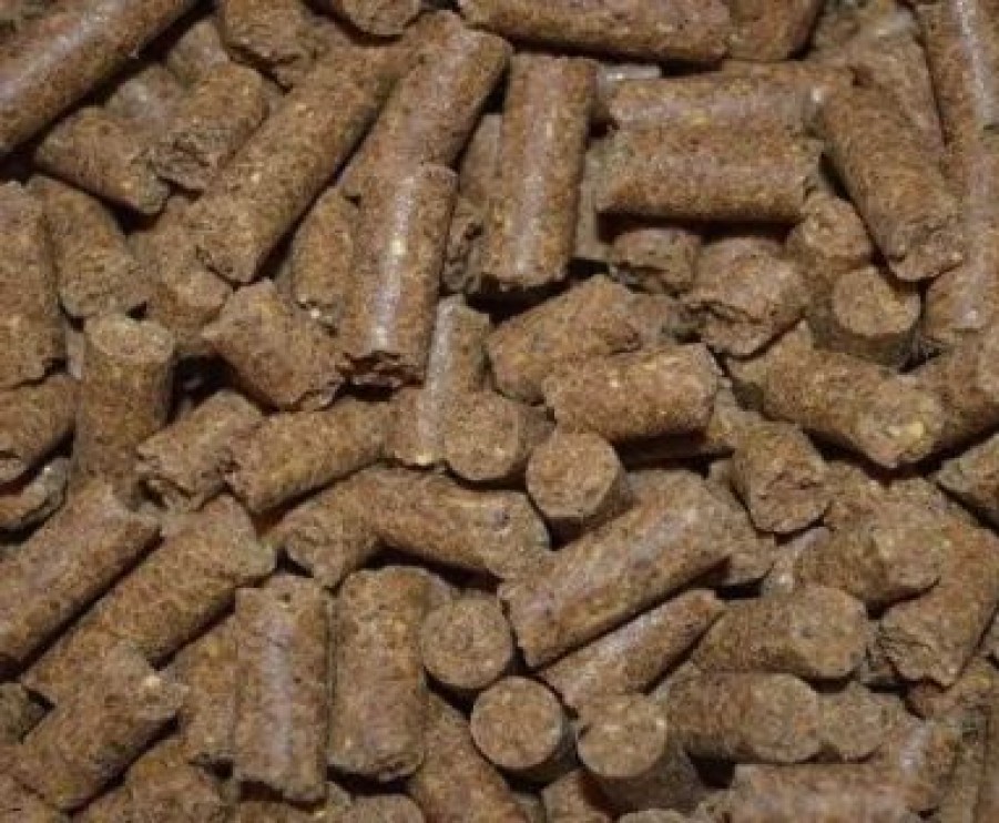 Hash Teckel Allergie Brok | 100% Natuurlijk Geperst | Uut Twelle