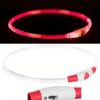 Hash Teckel Lichtgevende Halsband | Usb Oplaadbaar | Rood