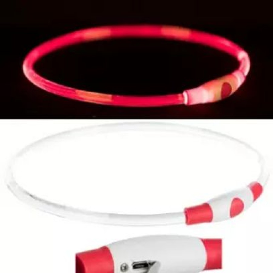 Hash Teckel Lichtgevende Halsband | Usb Oplaadbaar | Rood